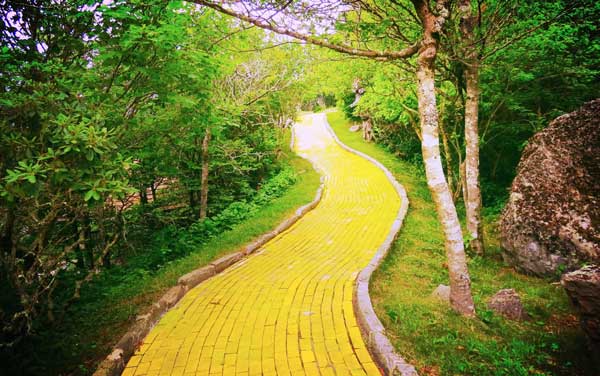 While Walking Down the Yellow Brick Road – Coming Full Circle
