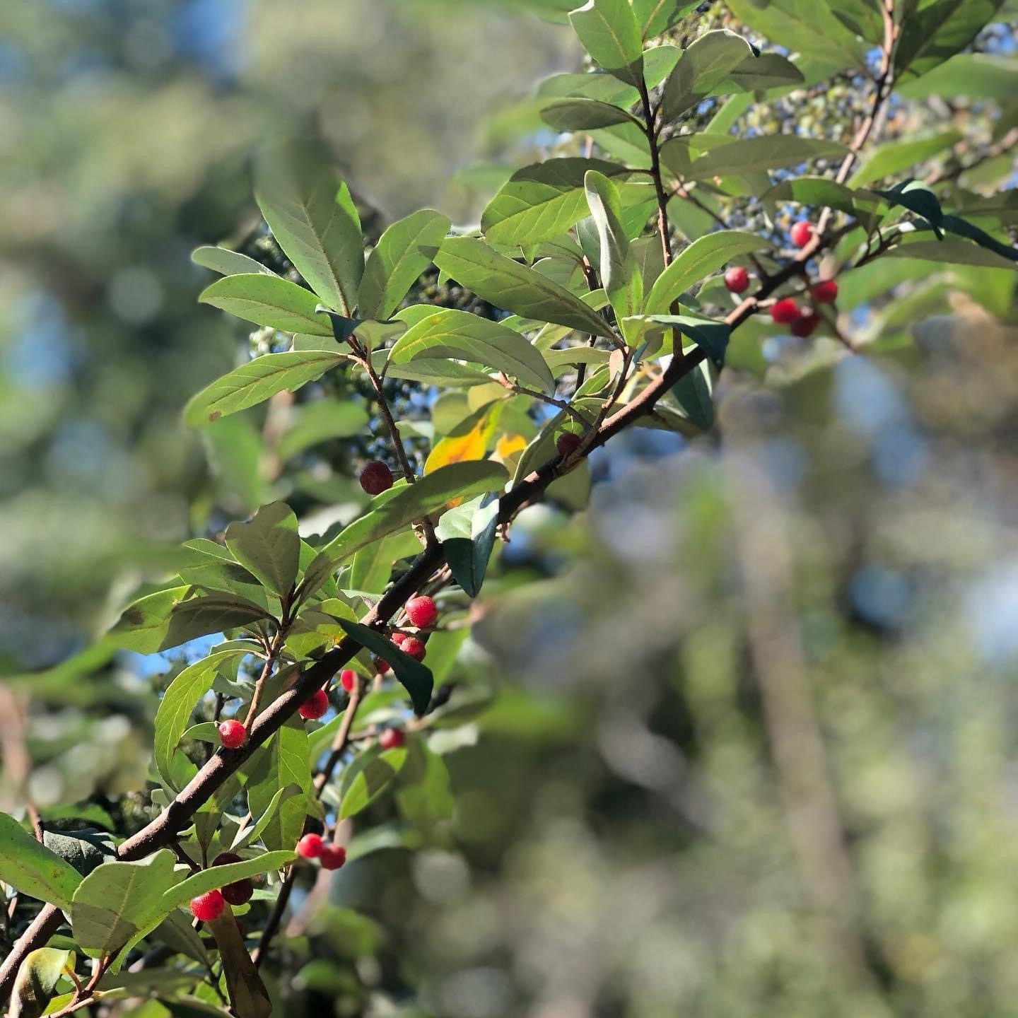 Sowing the Seeds of Spirituality in Rajab