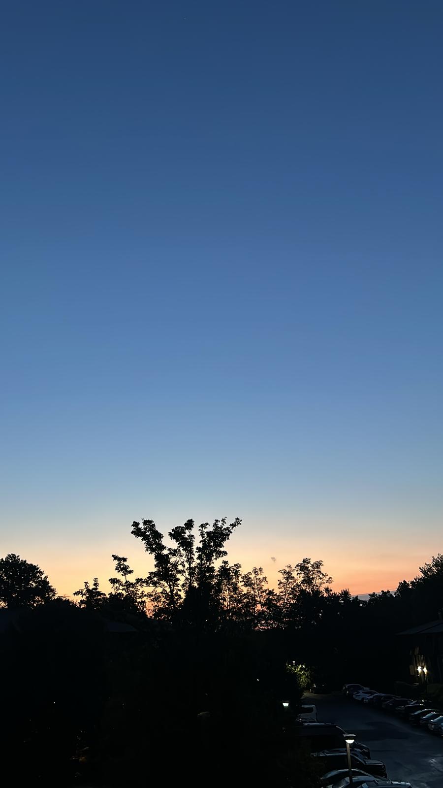 Celestial Signs for Illumined Worship